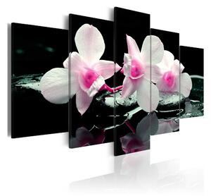 Tavla Rest Of Orchids 100x50 - Artgeist sp. z o. o