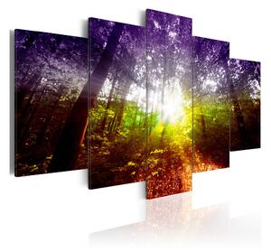 Tavla Rainbow Forest 100x50 - Artgeist sp. z o. o