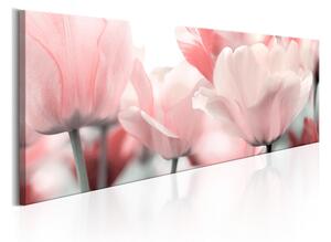 Tavla Pink Tulips 120x40 - Artgeist sp. z o. o