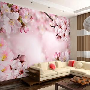 Fototapet Spring Cherry Blossom 100x70 - Artgeist sp. z o. o