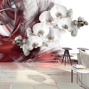 Fototapet Orchid In Red 150x105 - Artgeist sp. z o. o