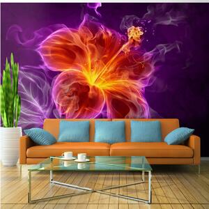 Fototapet Fiery Flower In Purple 100x70 - Artgeist sp. z o. o
