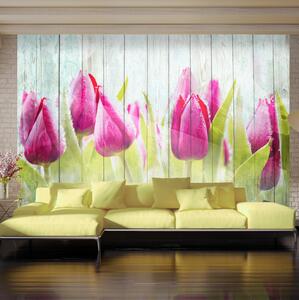 Fototapet Tulips On White Wood 100x70 - Artgeist sp. z o. o