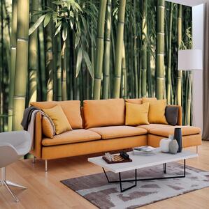 Fototapet Bamboo Exotic 100x70 - Artgeist sp. z o. o