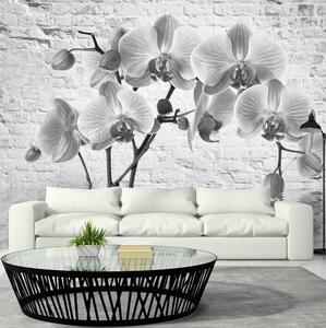 Fototapet Orchid In Shades Of Gray 100x70 - Artgeist sp. z o. o