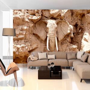 Fototapet Stone Elephant South Africa 300x210 - Artgeist sp. z o. o