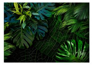 Fototapet Dark Jungle 200x140 - Artgeist sp. z o. o