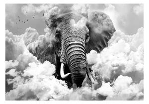 Fototapet Elephant In The Clouds Black And White 100x70 - Artgeist sp. z o. o