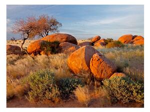 Fototapet Afrikanska Landskapet Namibia 200x154 - Artgeist sp. z o. o