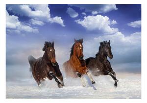 Fototapet Horses In The Snow 100x70 - Artgeist sp. z o. o