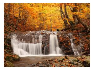 Fototapet Autumn Landscape Waterfall In Forest 200x154 - Artgeist sp. z o. o