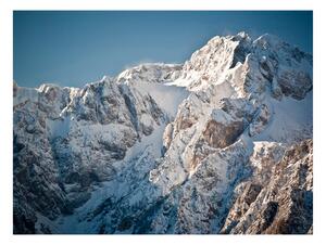 Fototapet Vinter Alperna 250x193 - Artgeist sp. z o. o