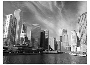 Fototapet Chicago Skyline Svartvitt 250x193 - Artgeist sp. z o. o
