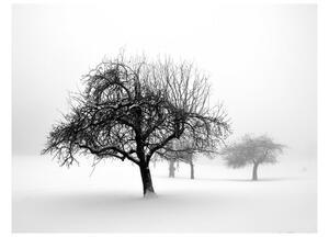 Fototapet Winter Trees 250x193 - Artgeist sp. z o. o
