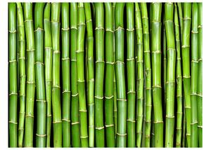 Fototapet Bamboo Wall 200x154 - Artgeist sp. z o. o