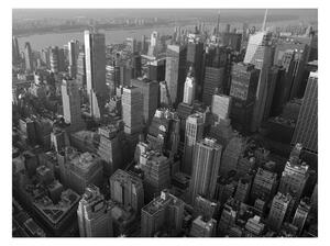 Fototapet New York Skyscrapers Bird's Eye View 350x270 - Artgeist sp. z o. o