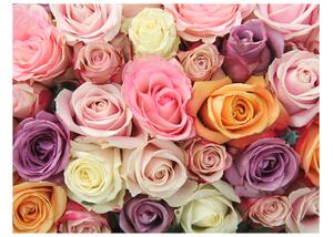 Fototapet Pastel Roses 200x154 - Artgeist sp. z o. o
