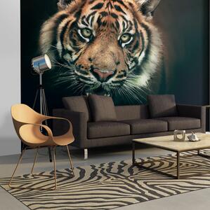 Fototapet Bengal Tiger 200x154 - Artgeist sp. z o. o