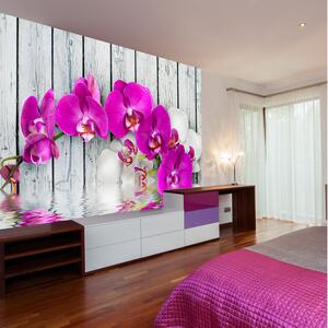 Fototapet Violet Orchids With Water Reflexion 300x231 - Artgeist sp. z o. o