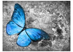 Fototapet Blue Butterfly 200x154 - Artgeist sp. z o. o