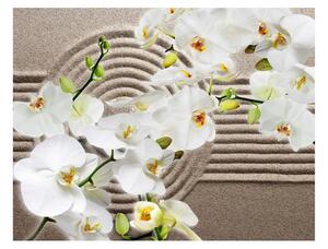 Fototapet Beautiful Zen Garden 200x154 - Artgeist sp. z o. o