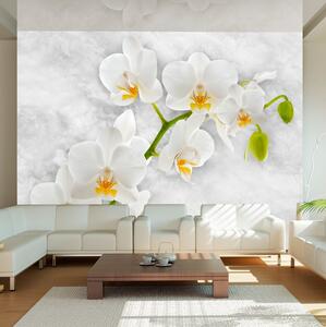 Fototapet Lyrical Orchid White 100x70 - Artgeist sp. z o. o