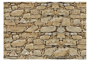 Fototapet Stone Wall 200x140 - Artgeist sp. z o. o