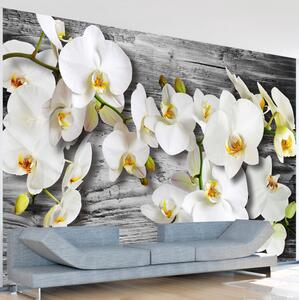 Fototapet Callous Orchids III 100x70 - Artgeist sp. z o. o