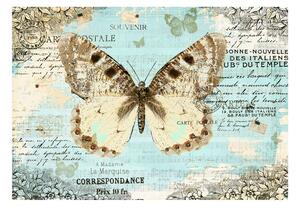 FOTOTAPET Postcard With Butterfly 350x245 - Artgeist sp. z o. o