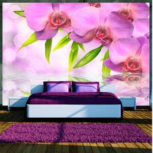 Fototapet Orchids In Lilac Colour 150x105 - Artgeist sp. z o. o