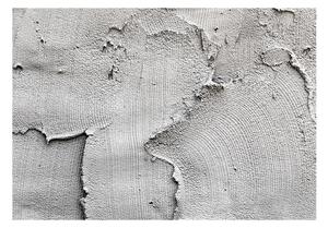 Fototapet Concrete Nothingness 100x70 - Artgeist sp. z o. o