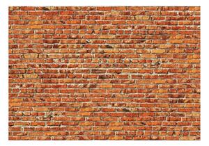 Fototapet Brick Wall 100x70 - Artgeist sp. z o. o