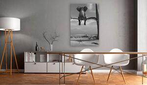 Tavla Resting Elephant 40x60 - Artgeist sp. z o. o