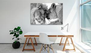 Tavla Lion's Love 120x80 - Artgeist sp. z o. o