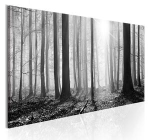 Tavla Black and White Forest 120x40 - Artgeist sp. z o. o