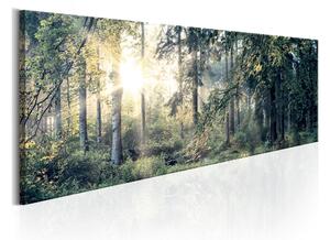 Tavla Morning Magic 150X50 Flerfärgad Landskap - Artgeist sp. z o. o