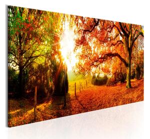 Tavla Magic Of Autumn 150x50 - Artgeist sp. z o. o
