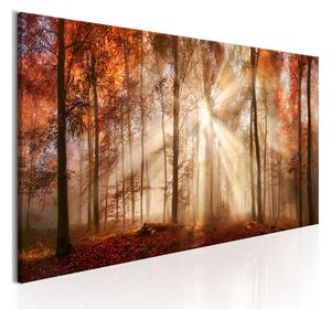 Tavla Autumnal Dawn 150x50 - Artgeist sp. z o. o