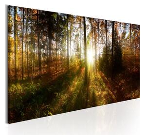 Tavla Beautiful Forest 150x50 - Artgeist sp. z o. o