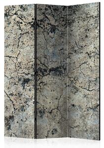 Rumsavdelare - Cracked Stone 135x172 - Artgeist sp. z o. o
