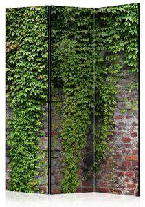 Rumsavdelare - Brick and ivy 135x172 - Artgeist sp. z o. o