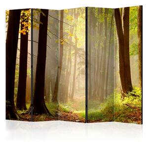 MYSTERIOUS FOREST PATH Rumsavdelare 225x172 cm - Artgeist sp. z o. o