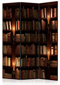 Rumsavdelare - Bookshelves 135x172 - Artgeist sp. z o. o