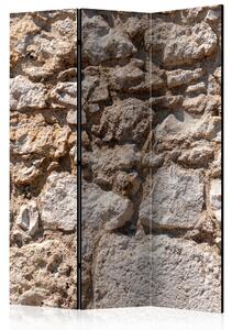 Rumsavdelare - Stone Castle 135x172 - Artgeist sp. z o. o