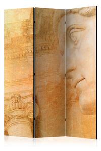 Rumsavdelare - Greek God 135x172 - Artgeist sp. z o. o