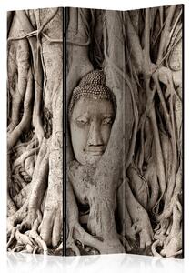Rumsavdelare - Buddha's Tree 135x172 - Artgeist sp. z o. o
