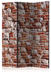Rumsavdelare - Bricky Age 135x172 - Artgeist sp. z o. o
