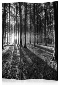 Rumsavdelare - Grey Wilderness 135x172 - Artgeist sp. z o. o