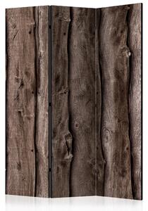 Rumsavdelare - Wooden Melody 135x172 - Artgeist sp. z o. o
