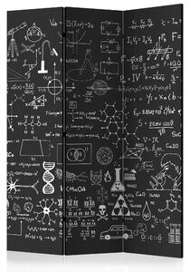 Rumsavdelare - Science on Chalkboard 135x172 - Artgeist sp. z o. o